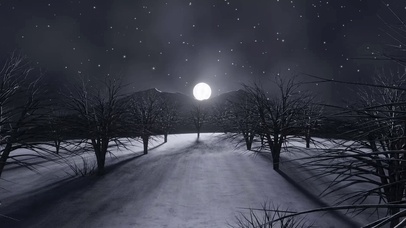 寂静月夜