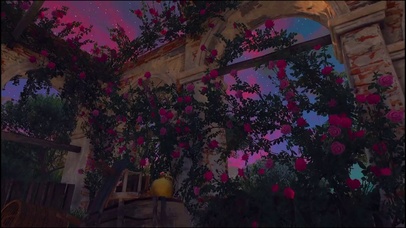 玫瑰花园的夜晚