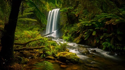 4K绿林山涧瀑布