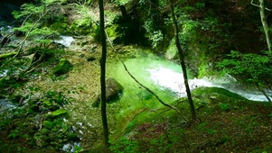 护眼清澈溪水