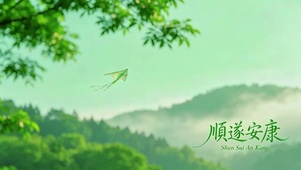 自由风筝，顺遂安康