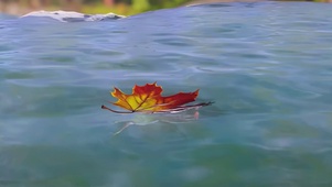 每一帧都是回忆