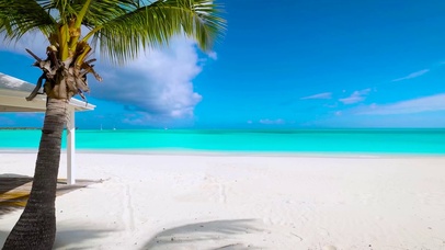 放松夏日椰树海滩