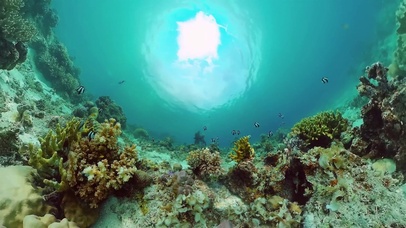 4K海底世界广角