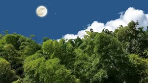 树海