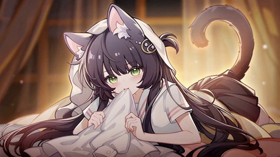 家养猫