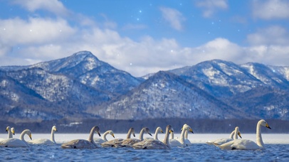 天鹅湖