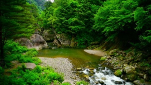 绿林峡谷流水