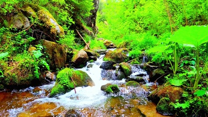 护眼溪流