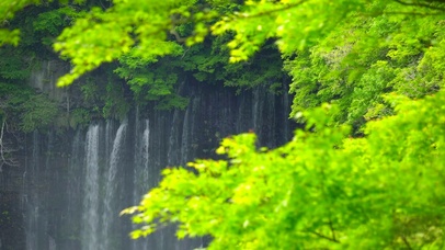 夏日绿树瀑布