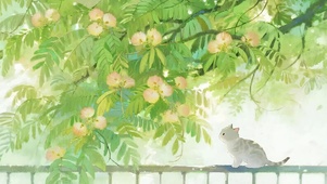 望着树猫咪