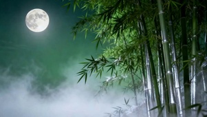 古风竹林夜景