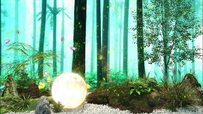 4K唯美树林草丛夜景蝴蝶飞舞