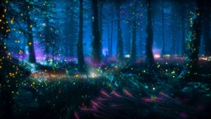 萤火虫树林