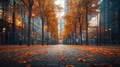 秋日黄叶都市街景