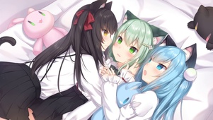 猫猫羽羽雫雫