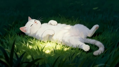 睡着猫咪