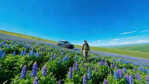 花海自驾游