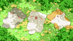 花丛里打盹的三只小猫咪