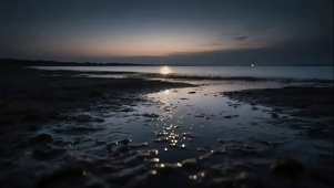 海岸时间变化