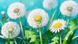 护眼毛茸茸蒲公英