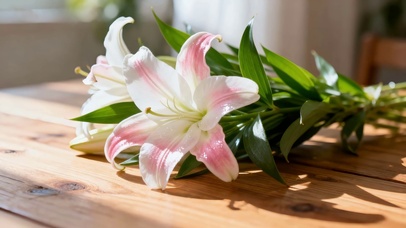 治愈小清新阳光下的新鲜百合花