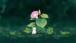 喇叭花猫咪