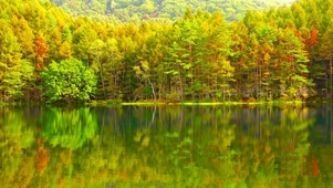 秋天红叶镜湖