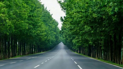 4K 公路 吹吹丛林的风 
