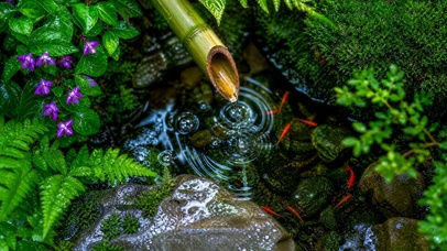 禅意流水