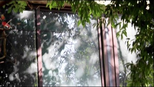 窗影