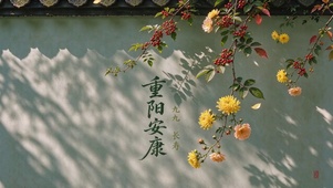 重阳安康