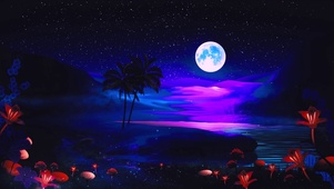 梦幻之夜