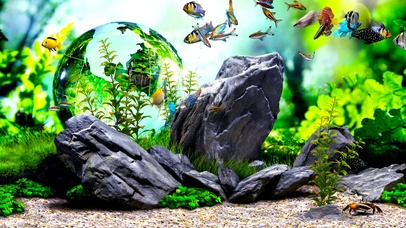 4k假山绿色护眼水族箱