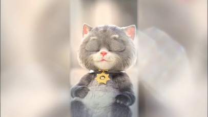 斑布猫-慵懒的小猫咪