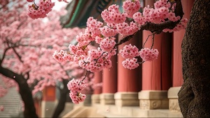 春日粉色花瓣古风建筑