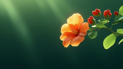 自由的花朵