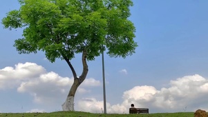 夏天要来咯~