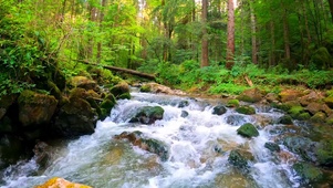 自然山溪流水
