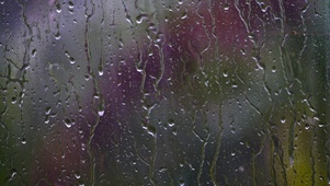 4K 雨水