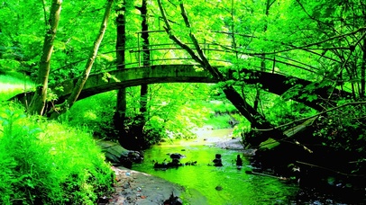 4K唯美小桥流水