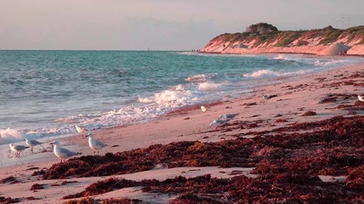 海边风景