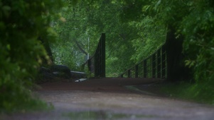 舒适公园春雨