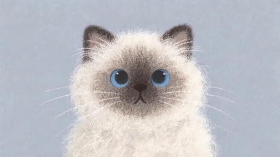 逻辑猫