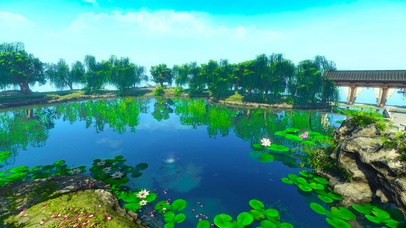 4k护眼静谧荷花池