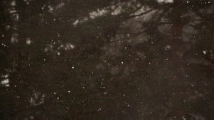 解压风景·鹅毛大雪