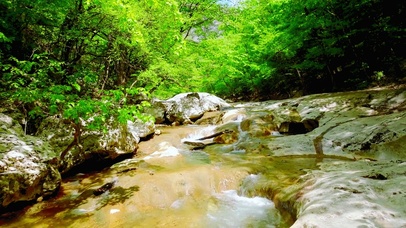 4K夏日清凉小溪