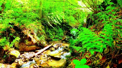 护眼山间小溪 4K