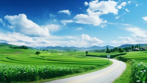 唯美自然小路风景