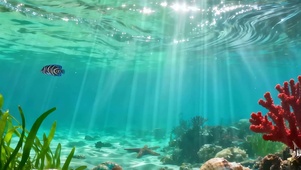 护眼海底世界带鱼屏